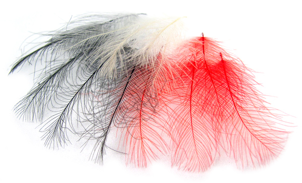 Select Feathers Plumes Marc Petitjean Cul De Canard CDC