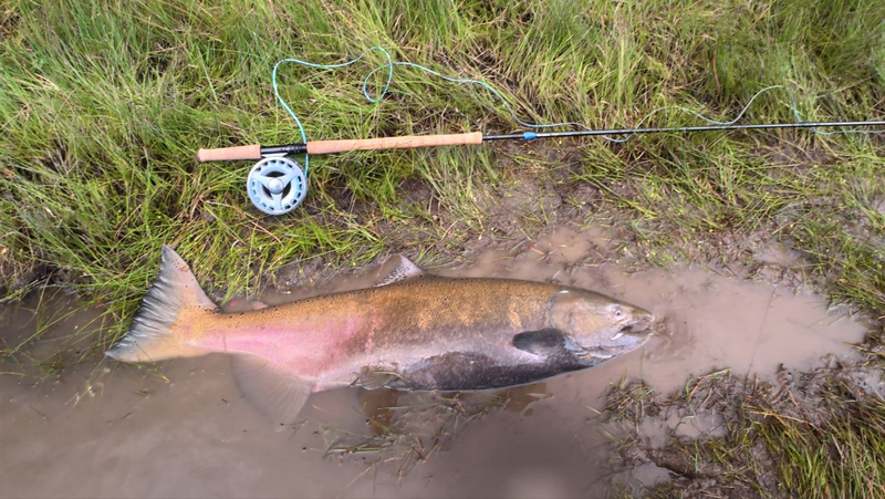 Двуручное удилище ELEGIA