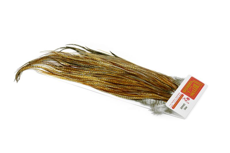 Barred Medium Ginger