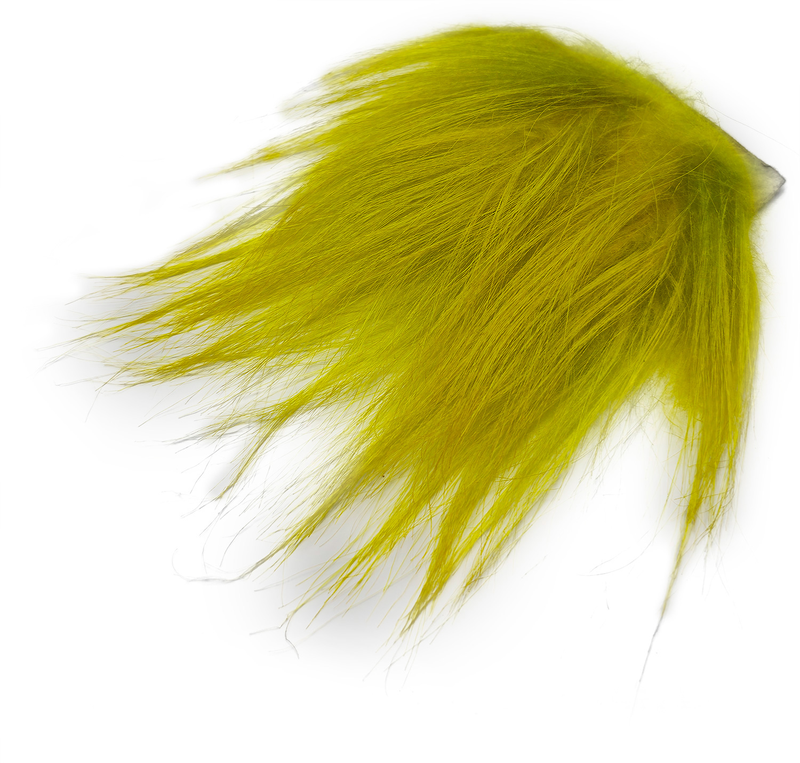 Golden Olive