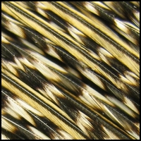 1whit_grizzly_variant