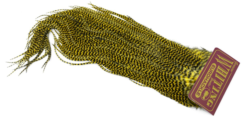 Eurohackle Saddle Grizzly dyed Pale Yellow