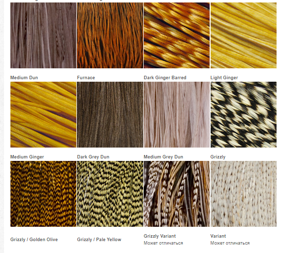 Примеры цветов перьев