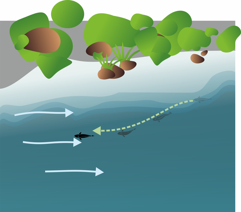 Перестроение с выходом вперед